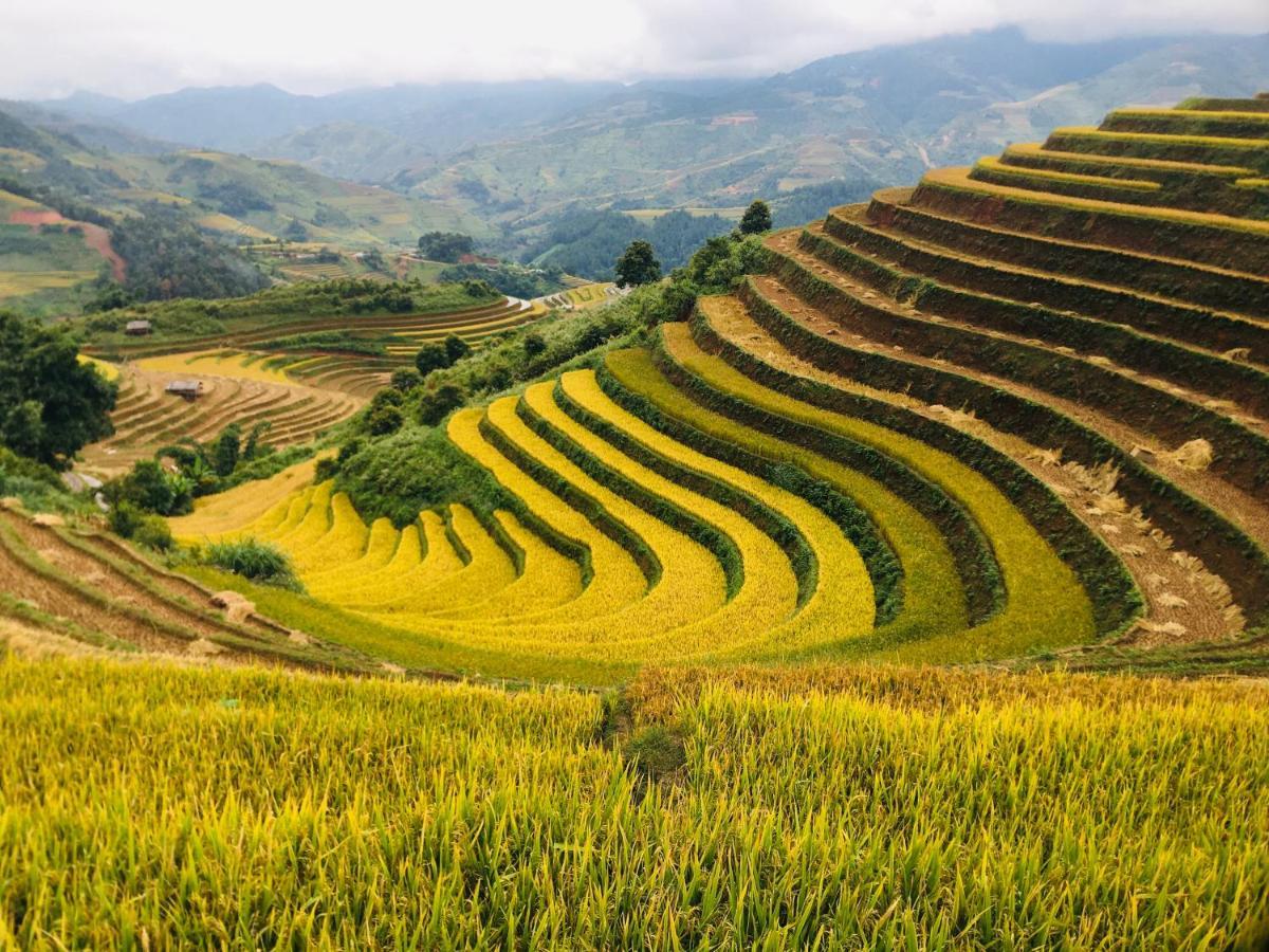 Hello Mu Cang Chai Homestay & Tours Exterior foto