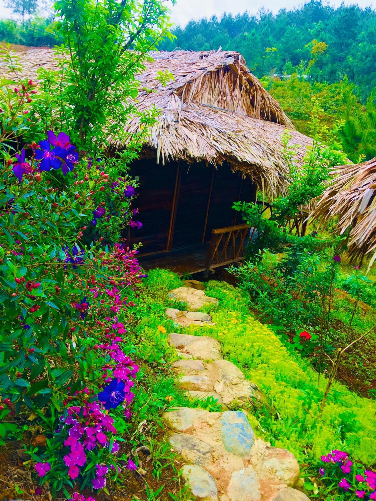 Hello Mu Cang Chai Homestay & Tours Exterior foto