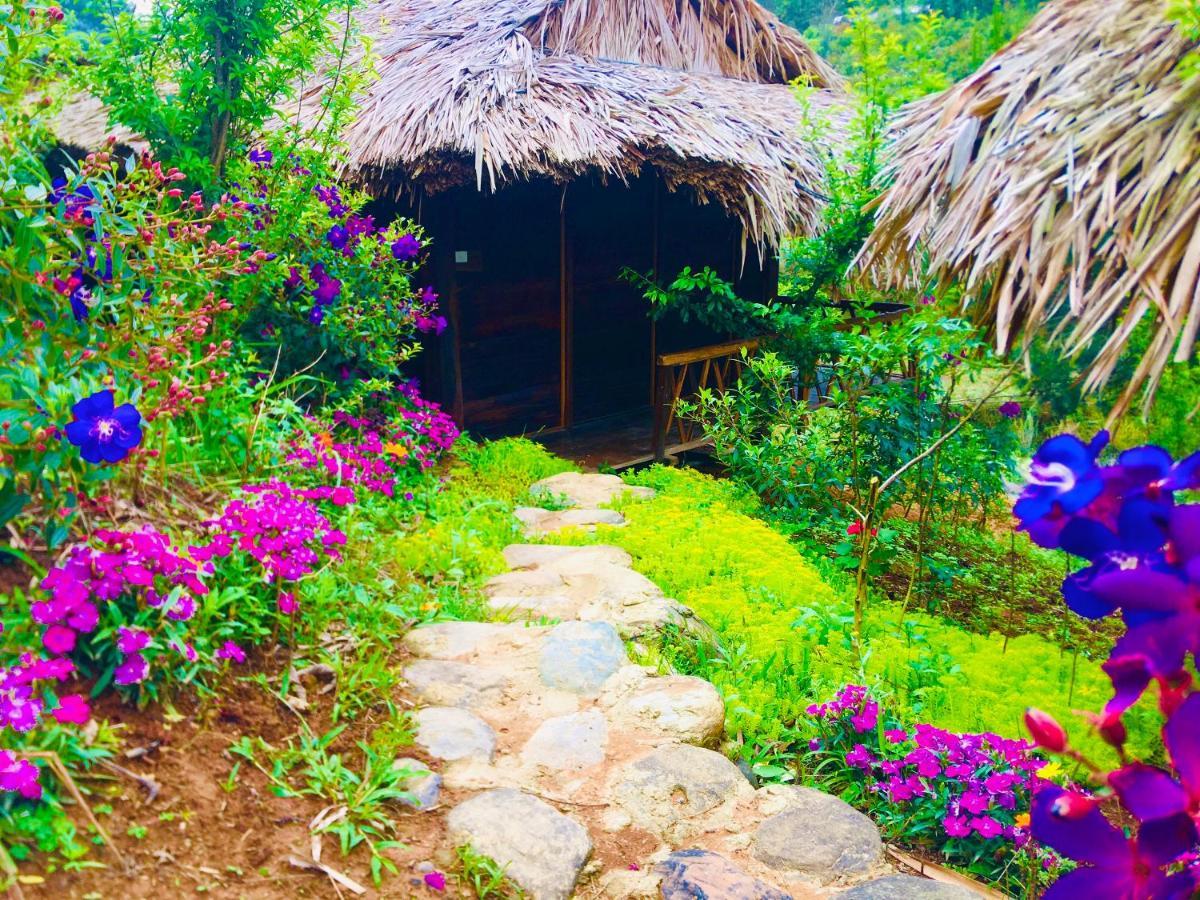 Hello Mu Cang Chai Homestay & Tours Exterior foto