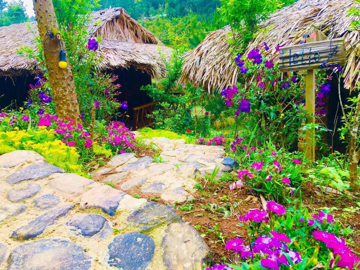 Hello Mu Cang Chai Homestay & Tours Exterior foto