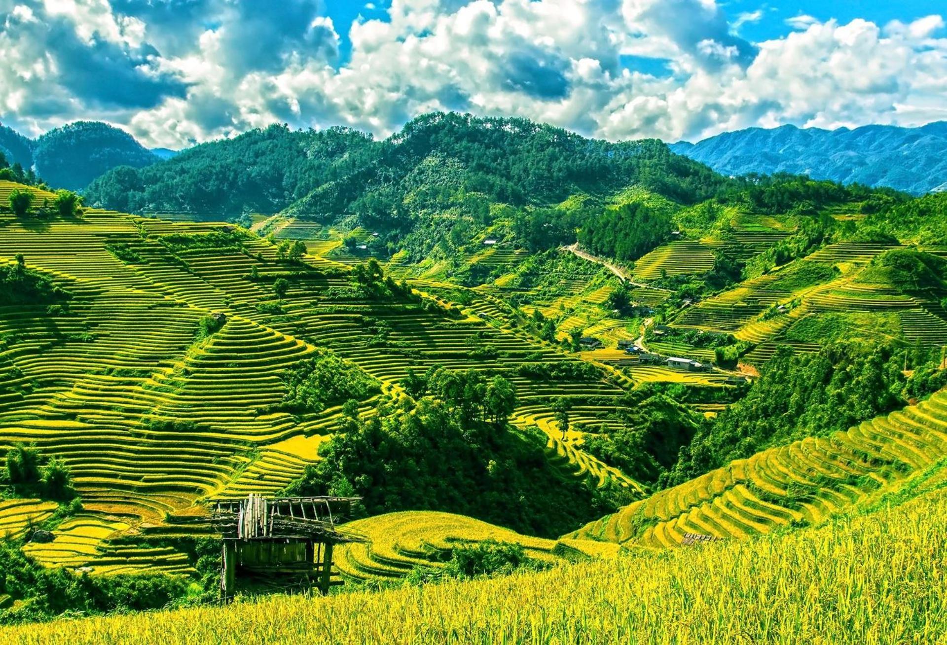 Hello Mu Cang Chai Homestay & Tours Exterior foto