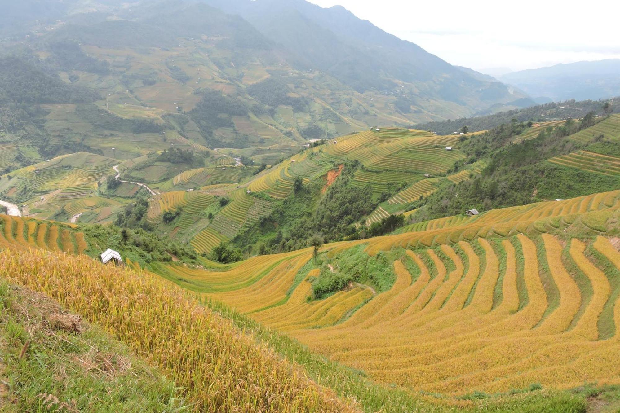 Hello Mu Cang Chai Homestay & Tours Zimmer foto