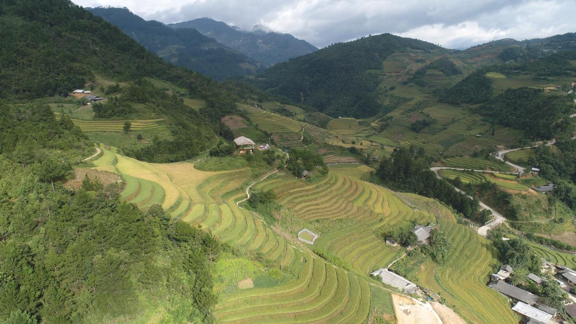 Hello Mu Cang Chai Homestay & Tours Exterior foto