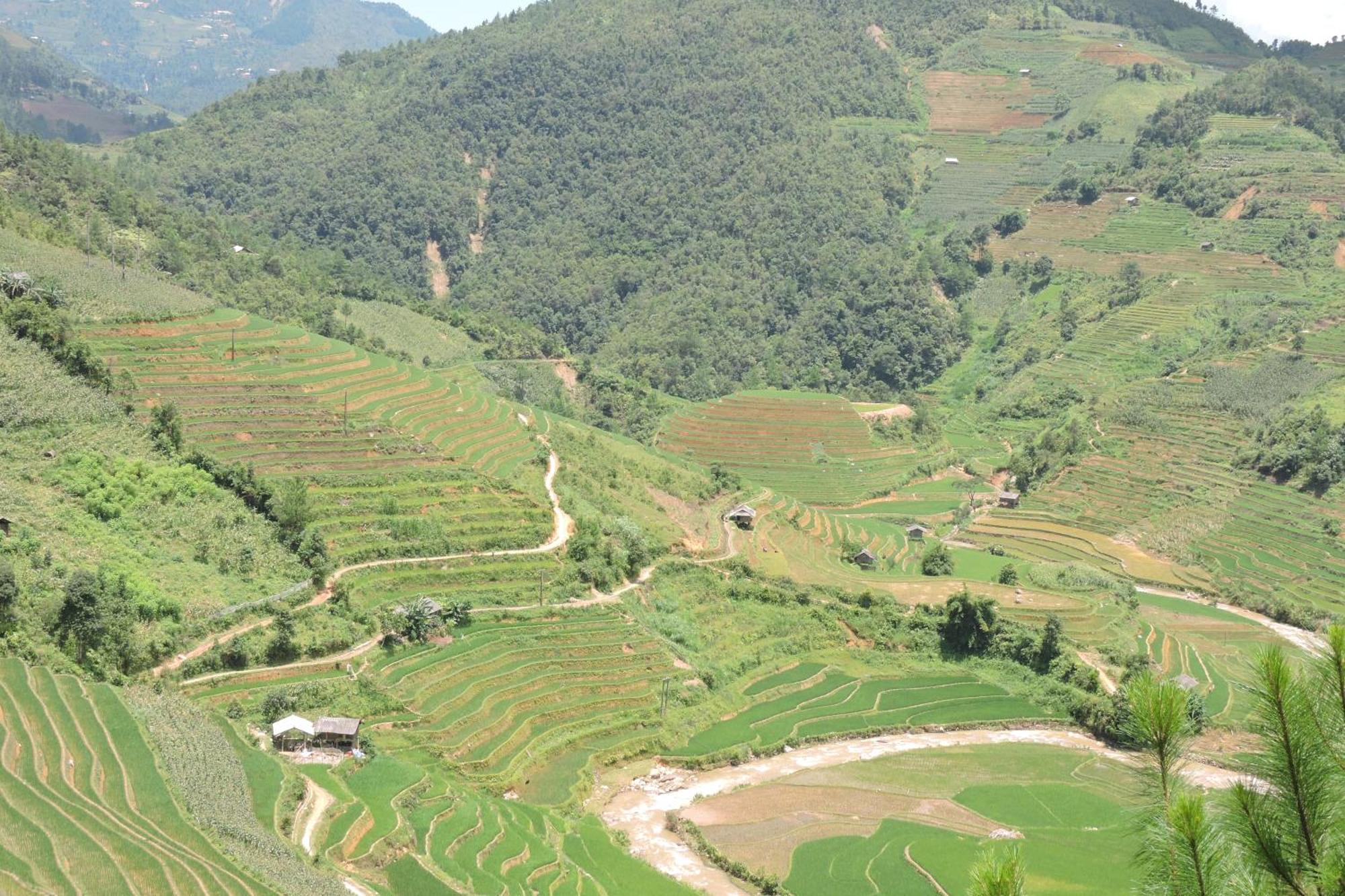Hello Mu Cang Chai Homestay & Tours Exterior foto