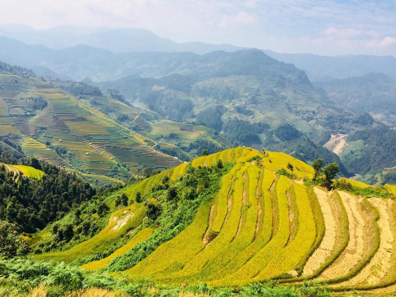 Hello Mu Cang Chai Homestay & Tours Exterior foto
