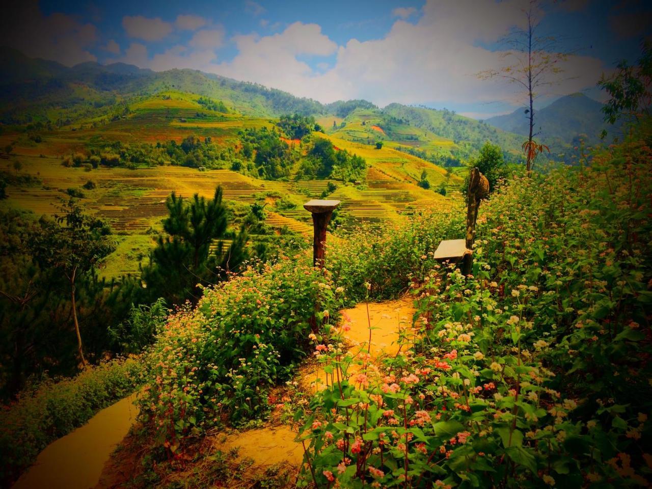 Hello Mu Cang Chai Homestay & Tours Exterior foto