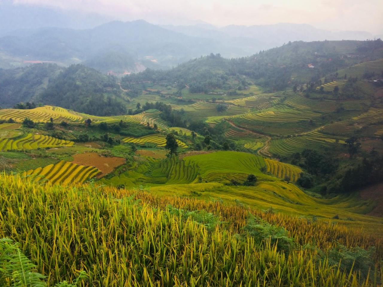 Hello Mu Cang Chai Homestay & Tours Exterior foto